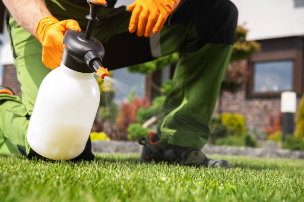 Best Residential Pest Control  in Colquitt, GA